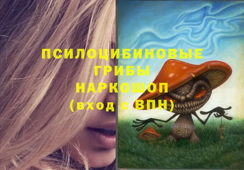 MEGA сайт  Купино  Галлюциногенные грибы Psilocybe  купить  